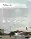 Bubble Art Garden
