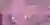 Life Paths