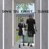 Down the tunnel...
