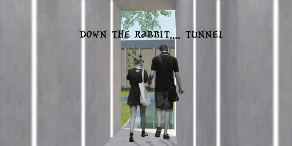 Down the tunnel...