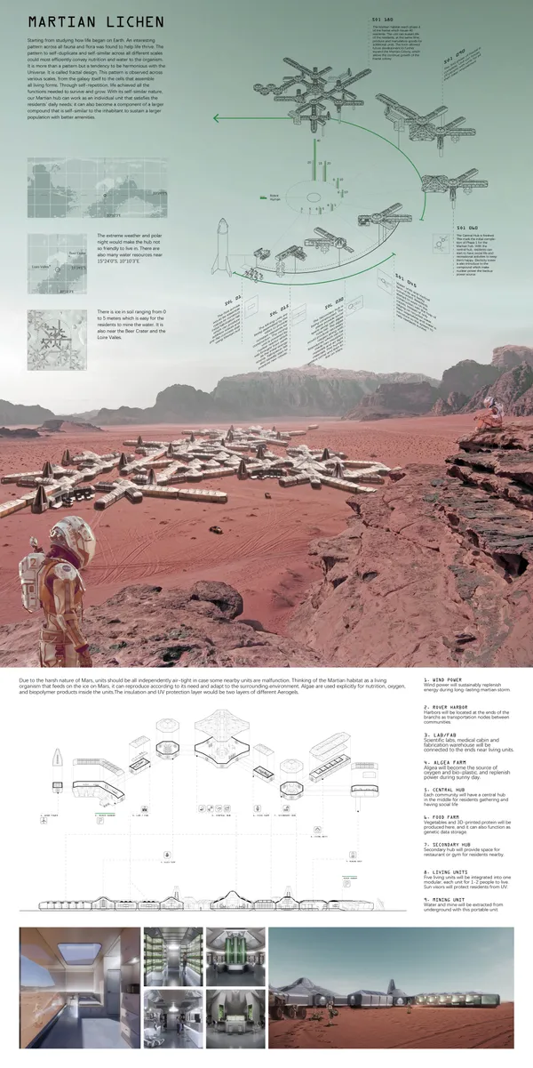 THE MARTIAN LICHEN