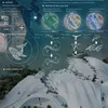 whale fall