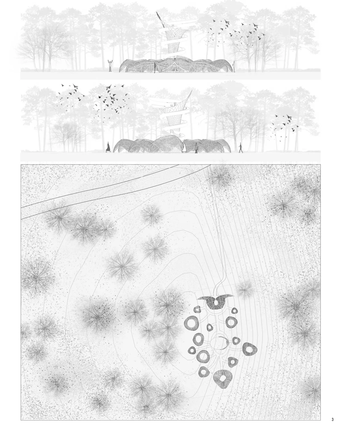 Nests