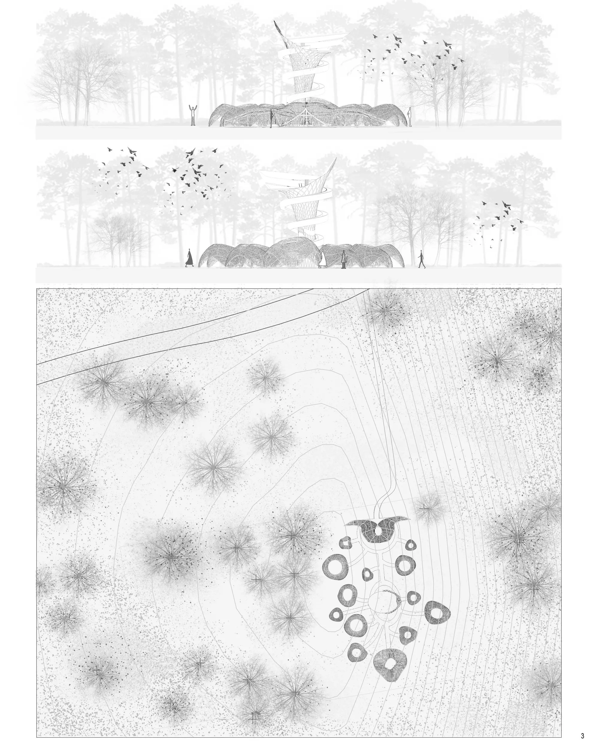 Nests