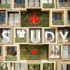 Study+-