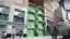 Lightning Green Pocket HOMES