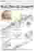 5.Conceptuals