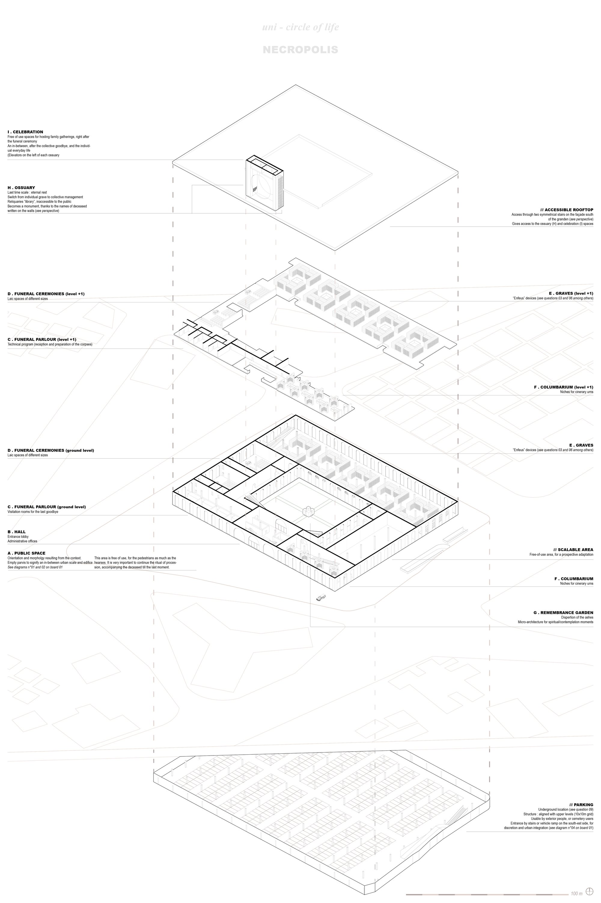 NECROPOLIS_BOARD02