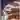 Digital Colosseum icon