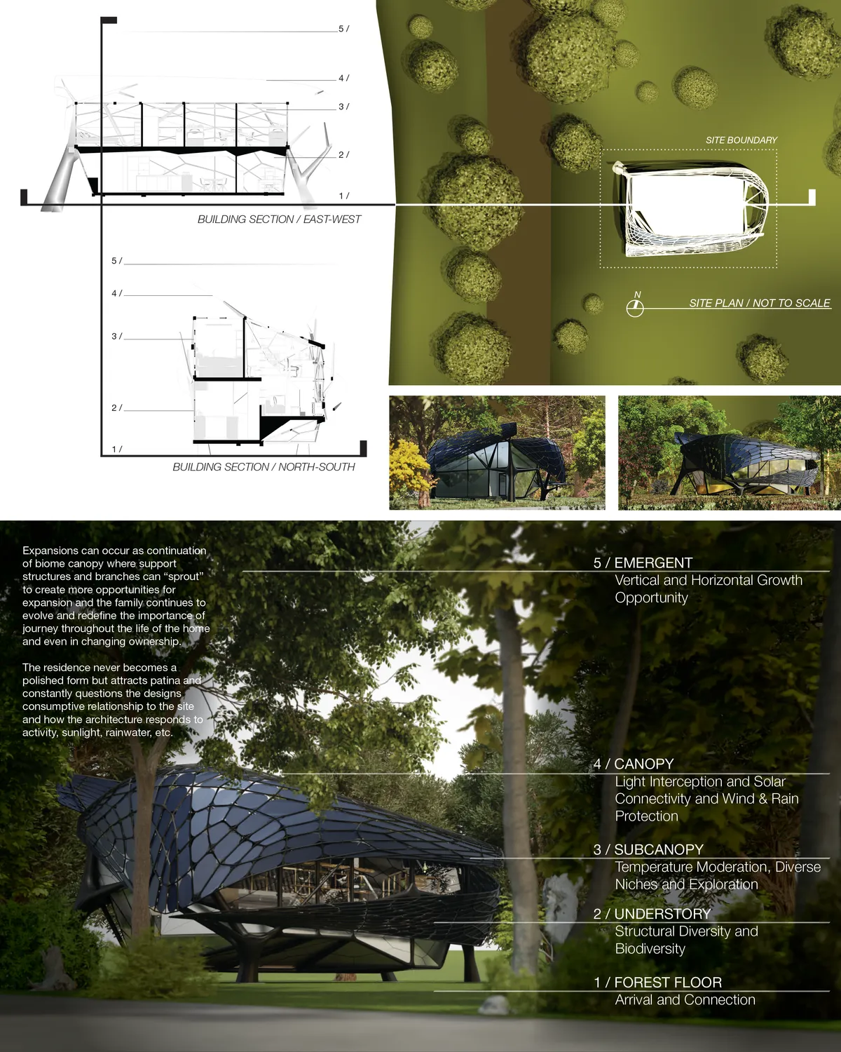 EMERGENT / The Picturesque Evolved