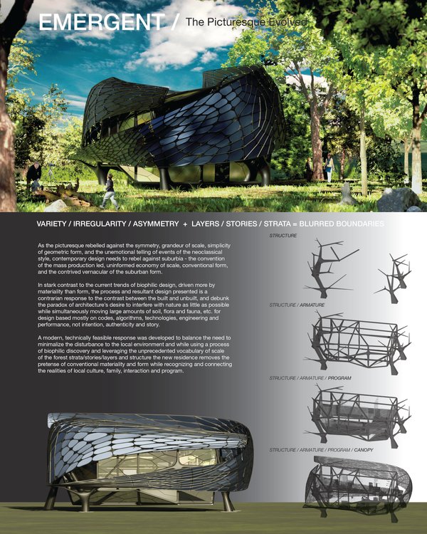 EMERGENT / The Picturesque Evolved