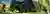 EMERGENT / The Picturesque Evolved
