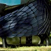 EMERGENT / The Picturesque Evolved
