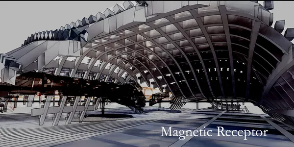 Magnetic Receptor