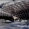 Magnetic Receptor
