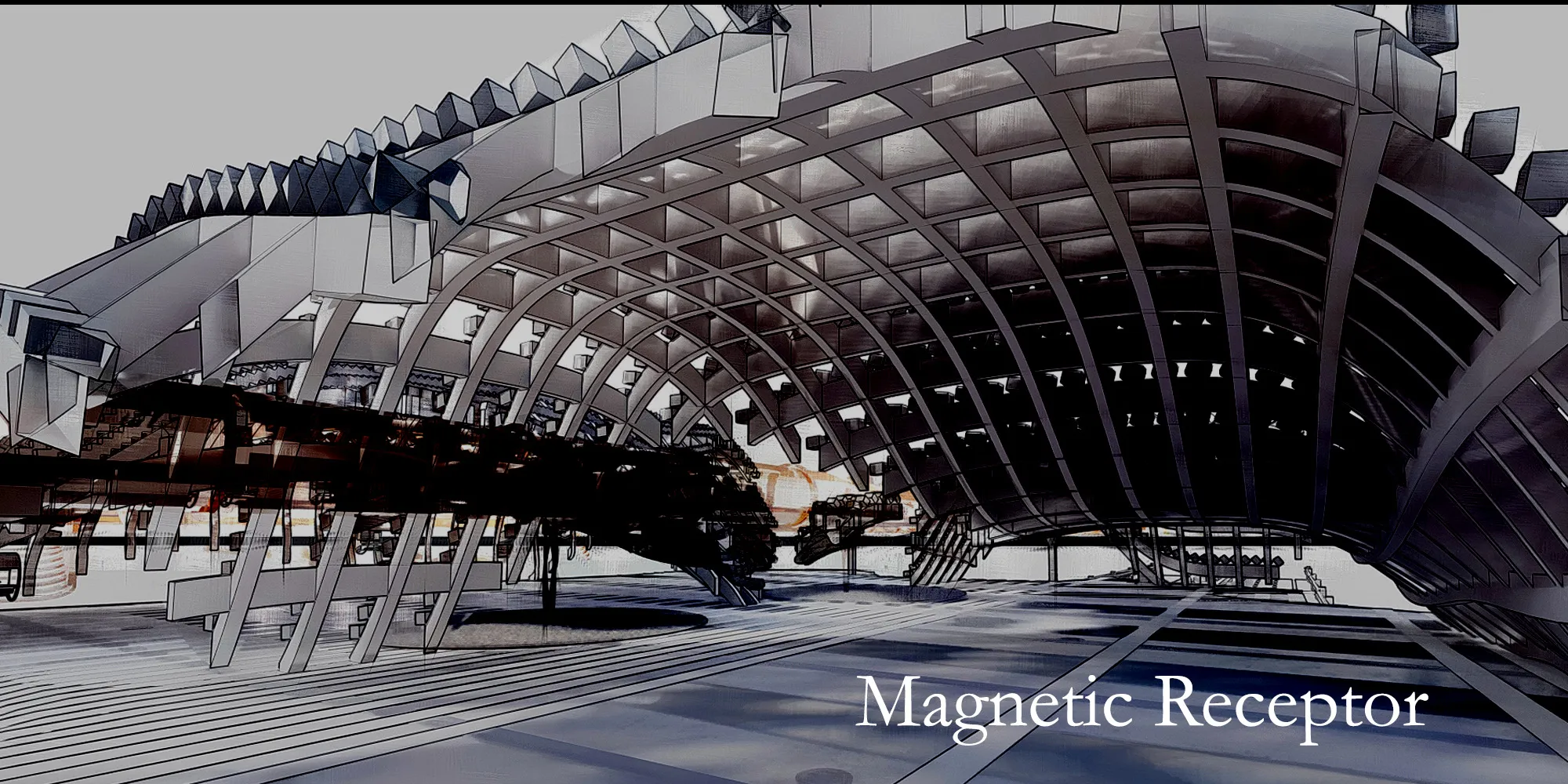 Magnetic Receptor