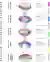 Exploded axonometric diagram