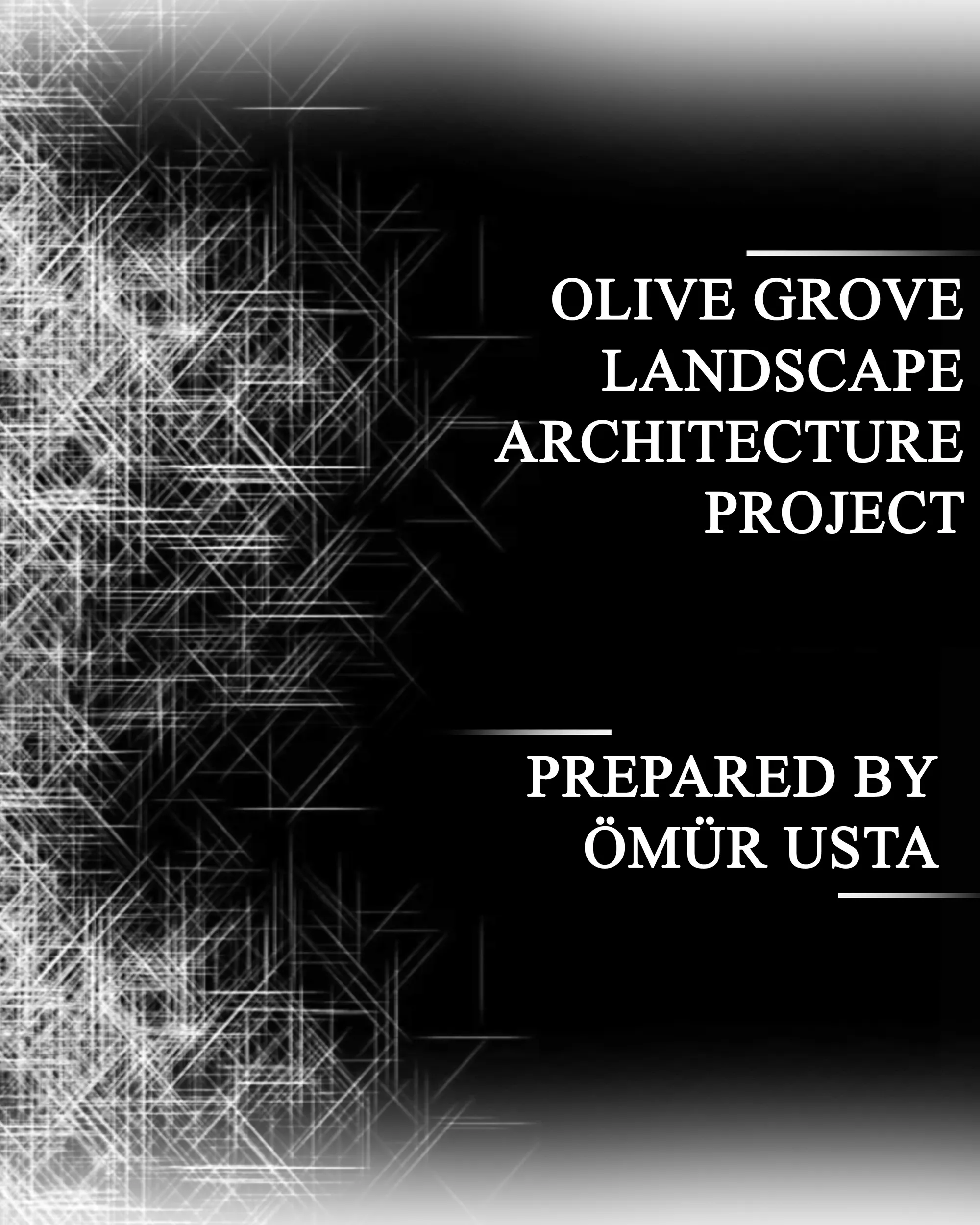  OLIVE GROVE LANDSCAPE PROJECT
