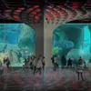 Arabian Sea Oceanarium