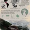 Panoramic Perception
