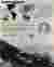 Panoramic Perception
