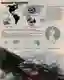 Panoramic Perception
