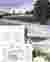 Streetscape and Commercial Uses