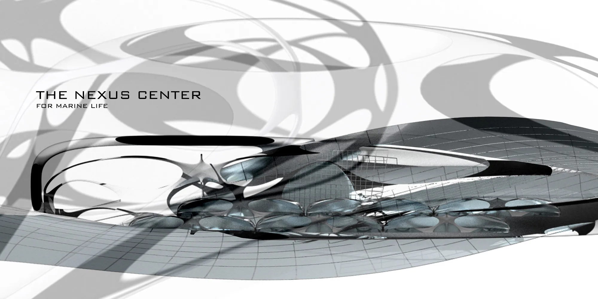 The Nexus Center