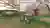 ABUJA THERAPHY CENTER