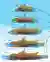 Marina City Board 04