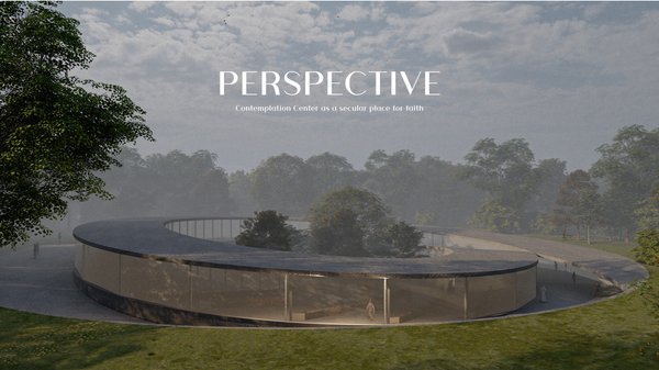 Perspective