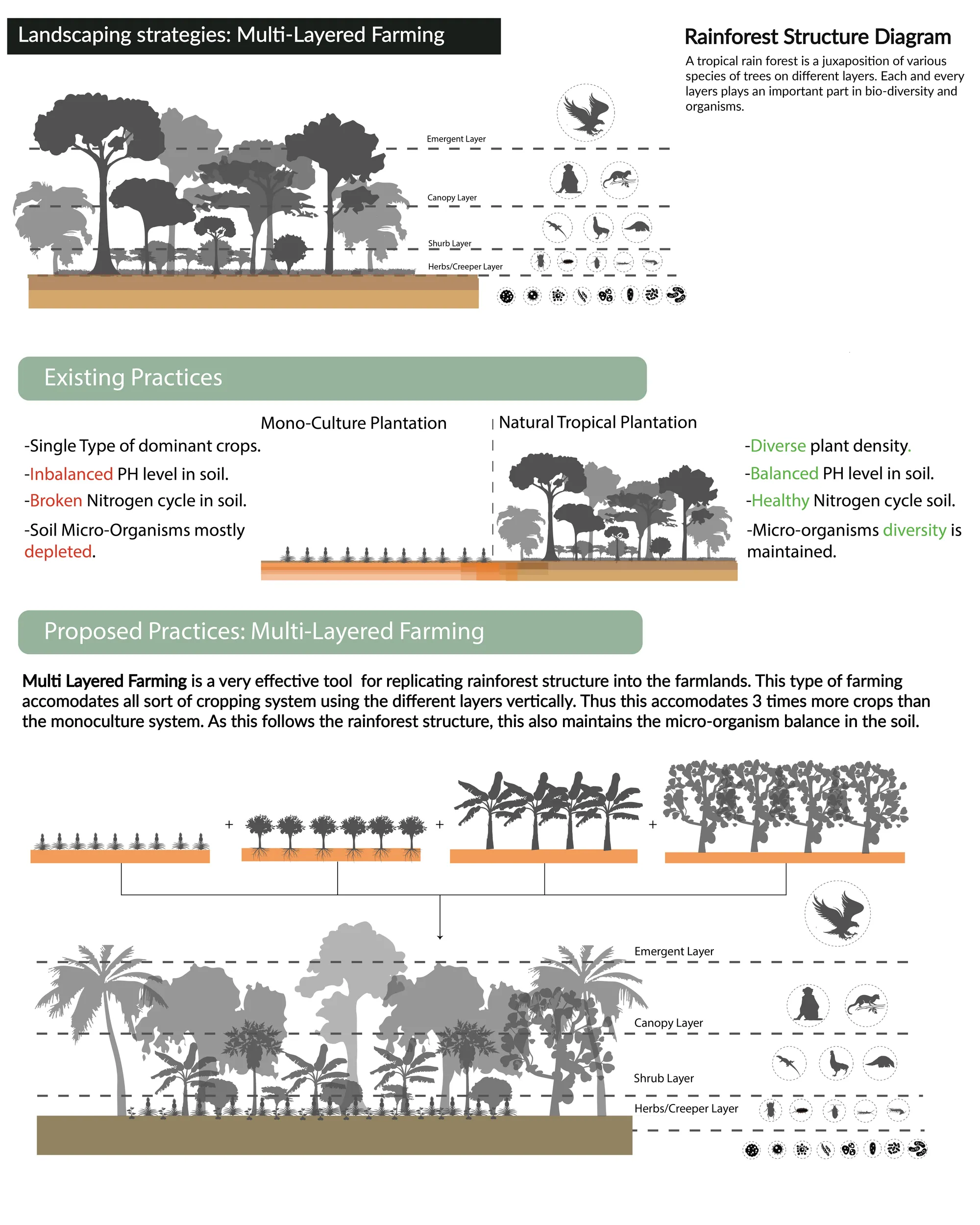 Community-Based Eco-Tourism At Madhupur Sal Forest