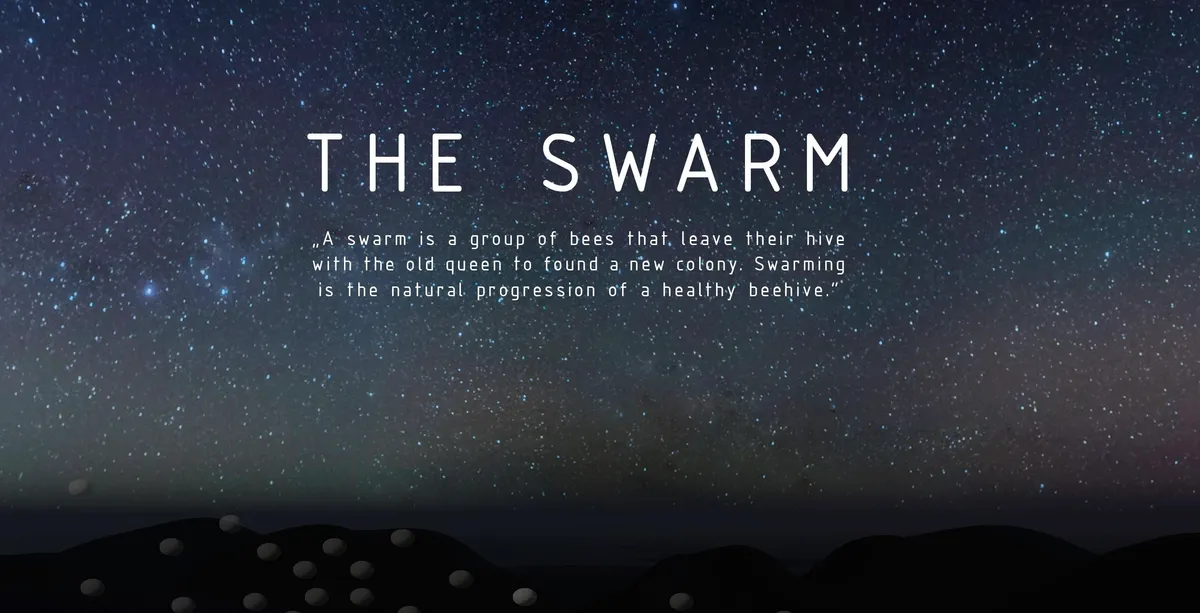 The Swarm