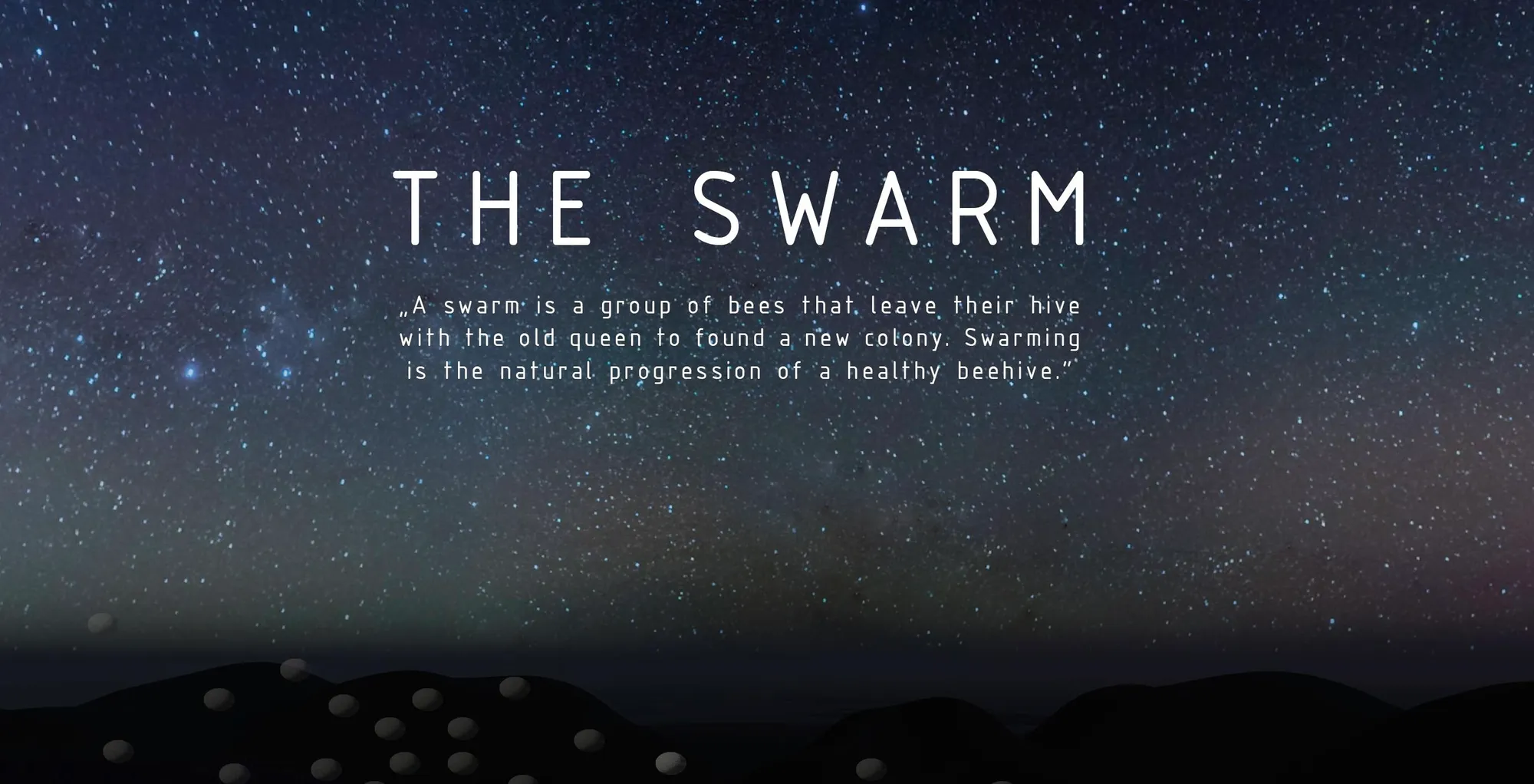 The Swarm