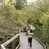 Creating accessible spaces with style