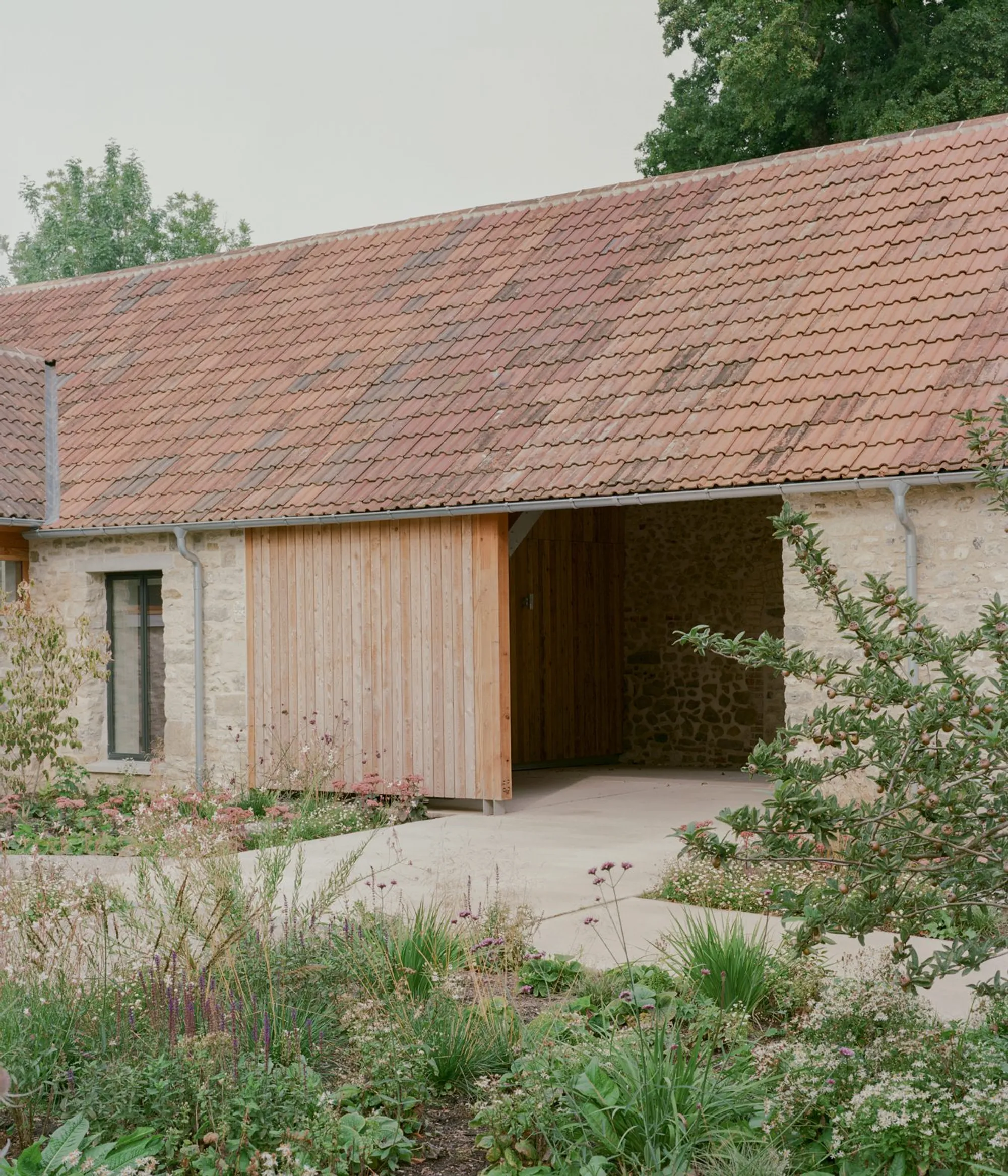 Image 16