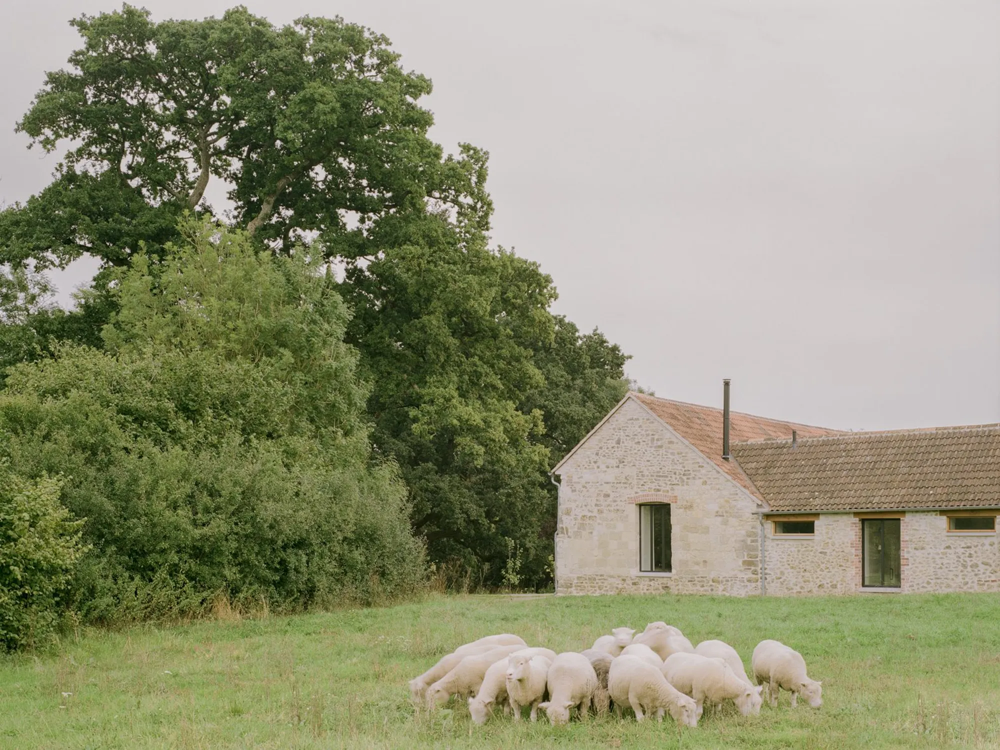 Image 19