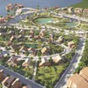 GREEN HAVEN