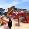 Passi dell'Arte