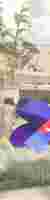 POLITO STUDIO work 1