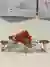 Cacoon