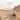 Desert Design icon
