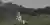 Apex Lodges