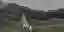 Apex Lodges