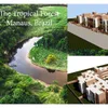 The Tropical Forest