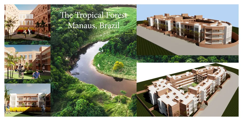 The Tropical Forest
