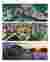 Projects Renders