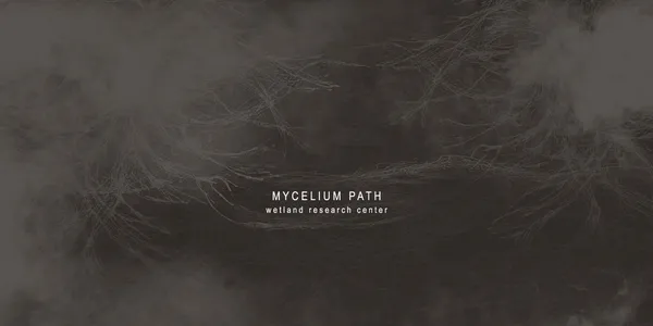 MYCELIUM PATH
wetland research center