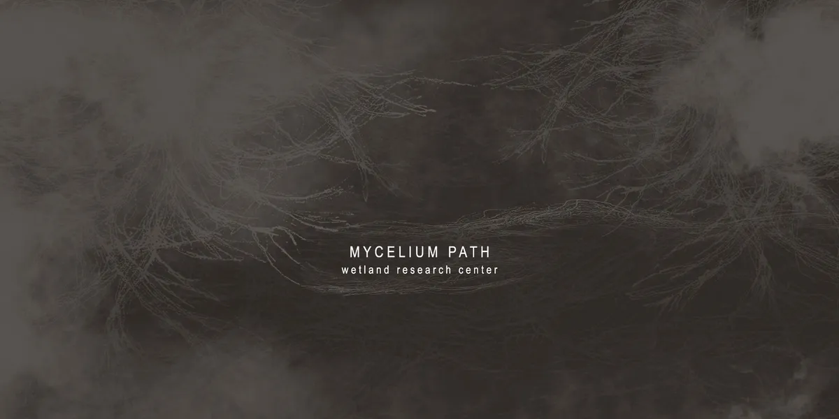 MYCELIUM PATH
wetland research ce