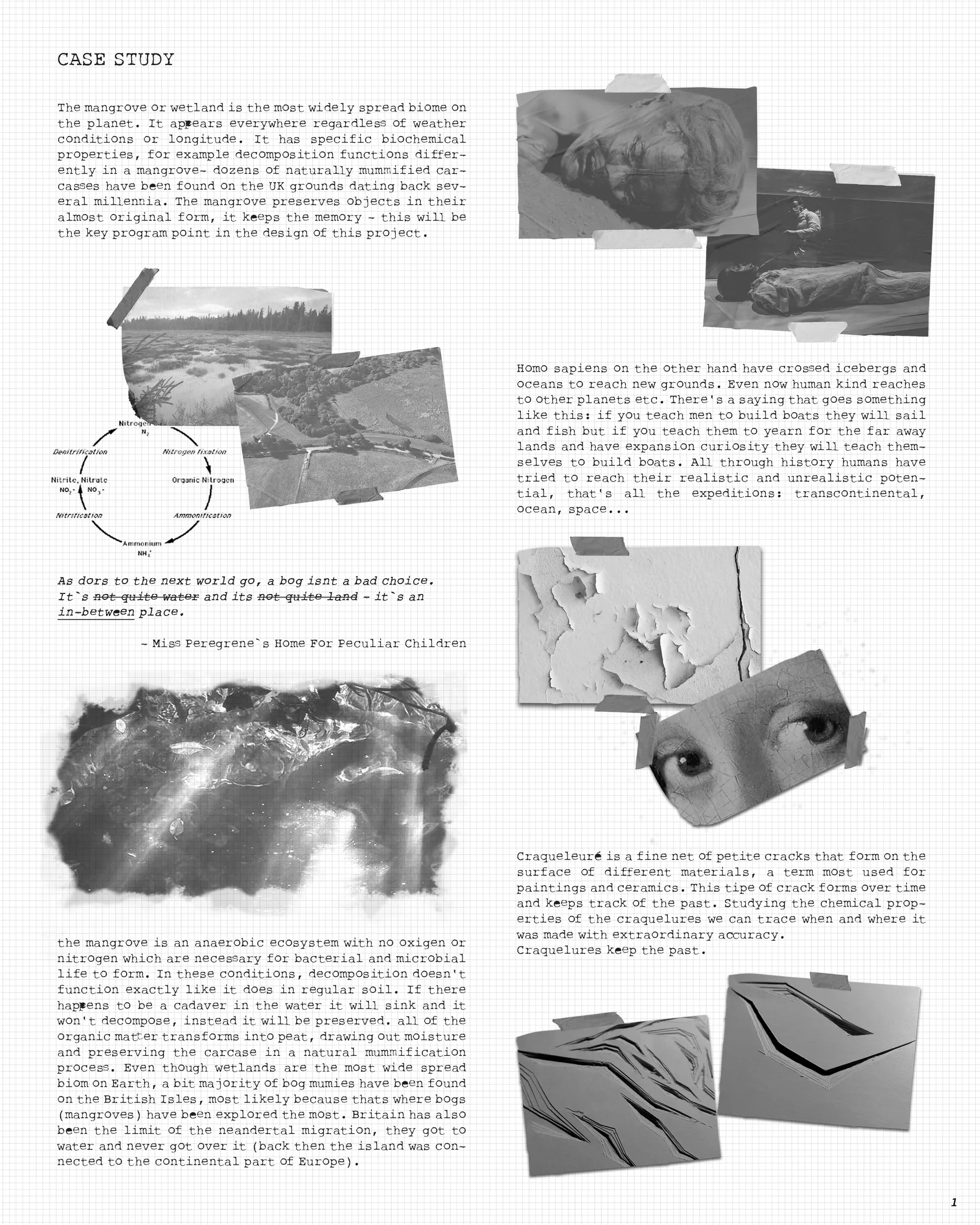 THE SINGULARITY - a Mangrove Peculiarity